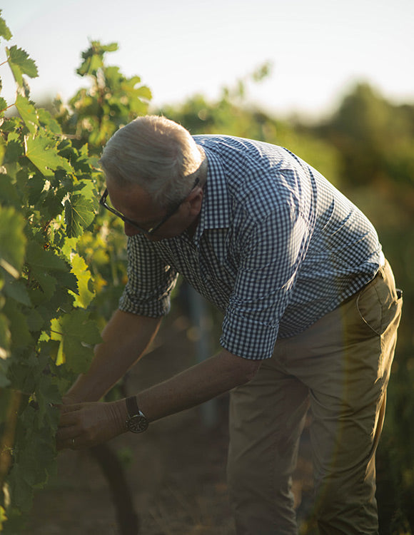 Domaine de Rimauresq - viticulteur