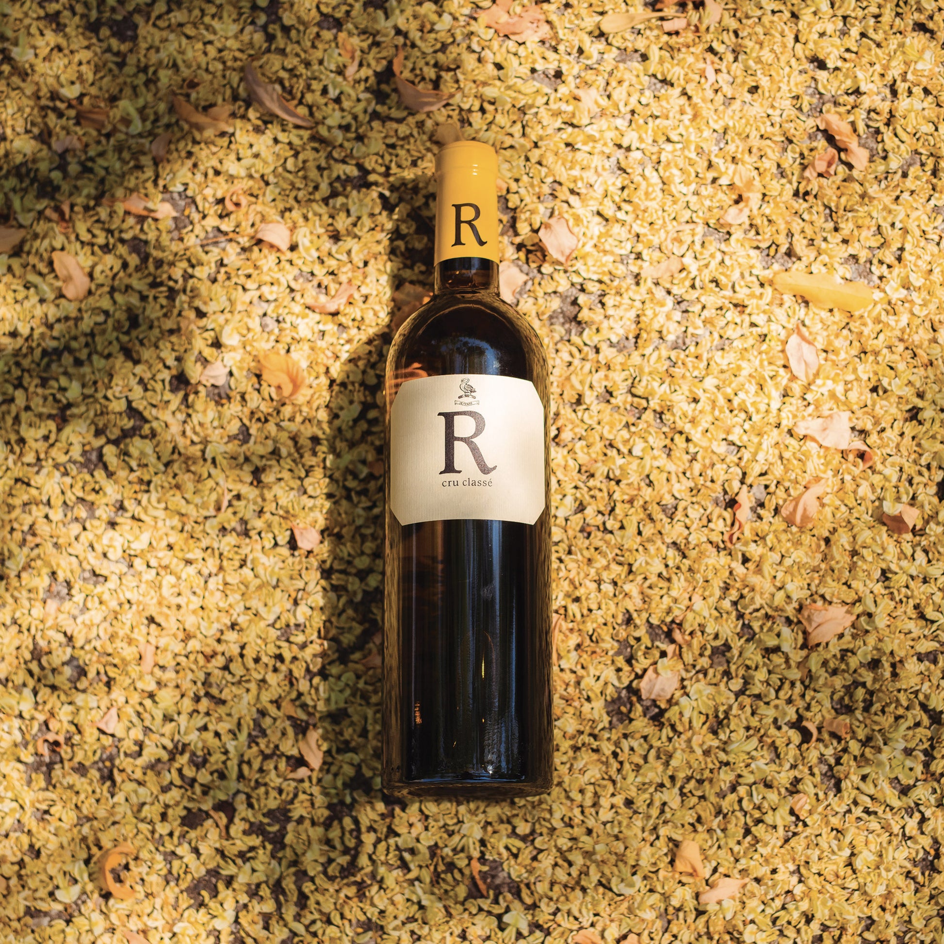 Rimauresq - Vin blanc R 